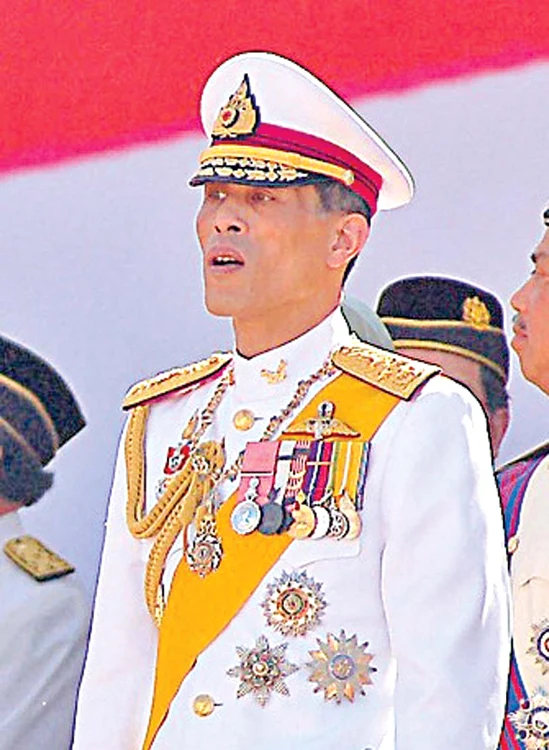 Prinţul moştenitor în ţinută oficială