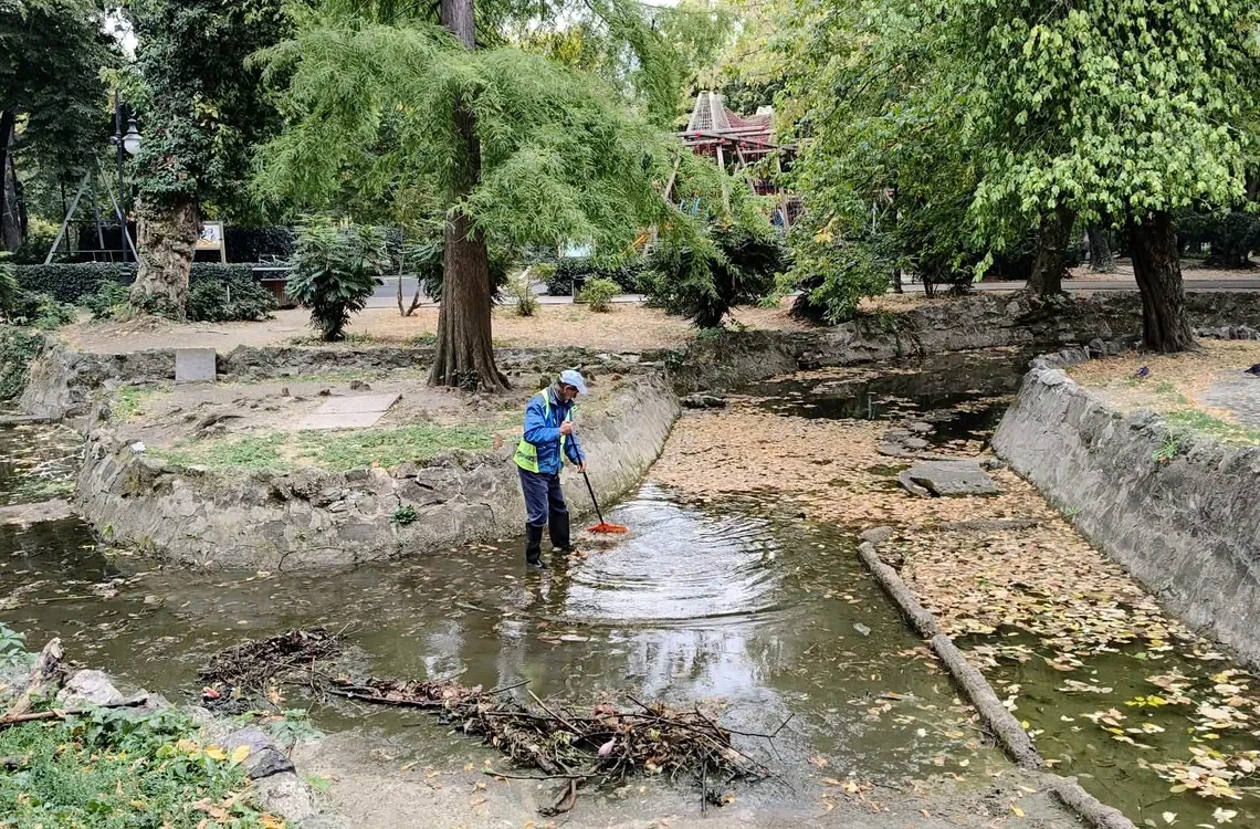 frunze parc bucuresti
