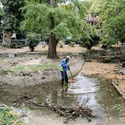 frunze parc bucuresti