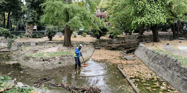 frunze parc bucuresti