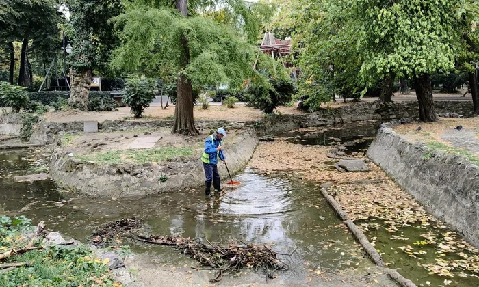 frunze parc bucuresti