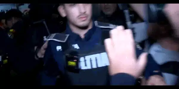 potra gif gif