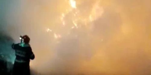 5dc1cd6b5163ec4271b91928 jpg