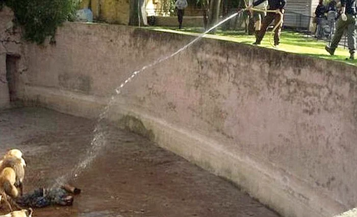 Leii sunt alungaţi cu furtunuri de apă