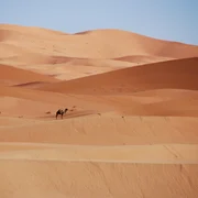 nasalune fck desert 1916882 1280 jpg