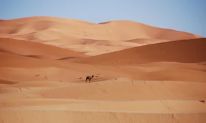 nasalune fck desert 1916882 1280 jpg