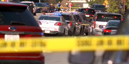 e5bd73f5 53ee 48a6 8333 daa5e6343e2d jpg