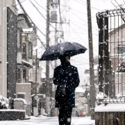 Alegeri Japonia FOTO Getty Images webp