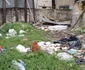 Curtea vilei e plină de gunoaie. foto: Adrian Popescu