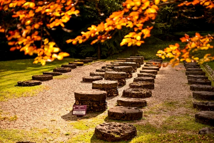 sarmizegetusa regia foto consiliul judetean hunedoara