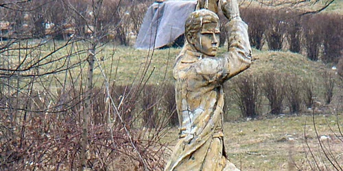 bacau statuie roaita