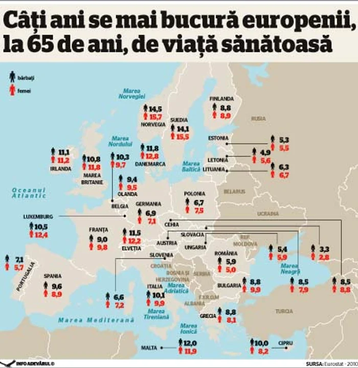 infografie