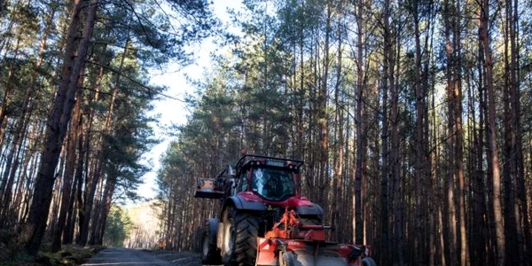 Buldozer al companiei Tesla pavează un drum într-o pădure în apropiere de Belin 16 ianuarie 2020 FOTO EPA-EFE