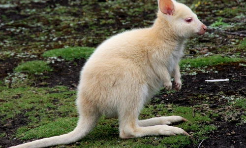 1 84900 original jpg jpeg