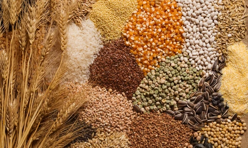Cerealele care te ajuta sa slabesti  Sursa foto shutterstock 418575892 jpg