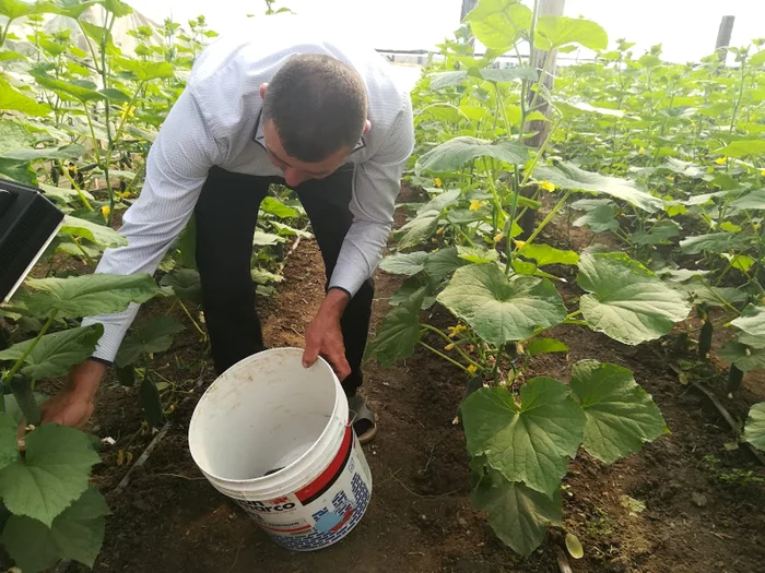 Fermierii cu suprafețe mici sunt afectați de noile reguli FOTO: arhiva