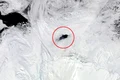 gaura Antartica jpeg