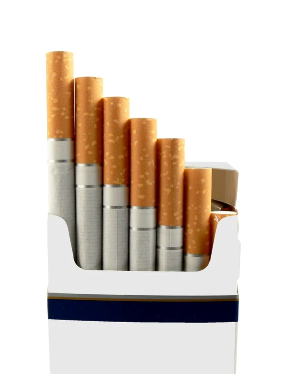 1 tigari shutterstock 2475746 jpg jpeg