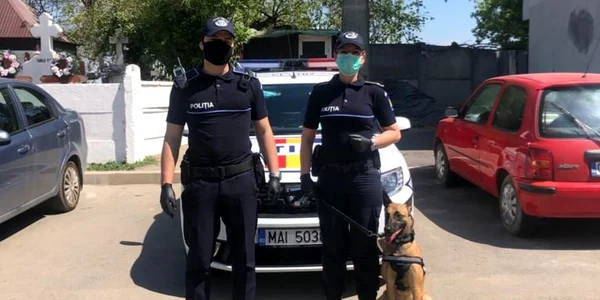 calarasi politie