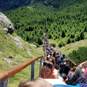 toacascariaglomeratie1 jpg