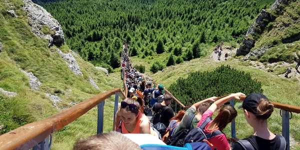 toacascariaglomeratie1 jpg
