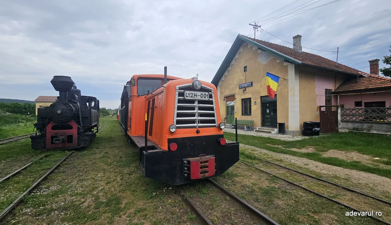 Calea ferată îngustă de pe Valea Hârtibaciului. Foto: Daniel Guță. ADEVĂRUL