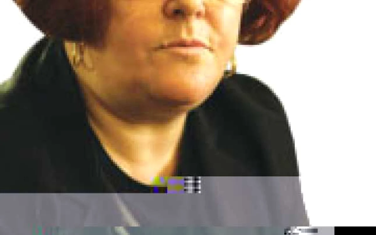  Lia Perjovschi