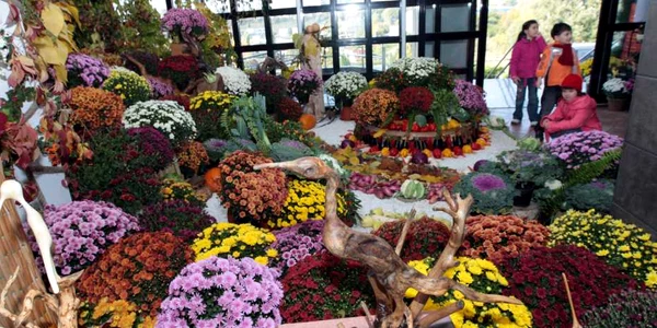 Grădina Botanică, Foto:Bogdan Dimofte 