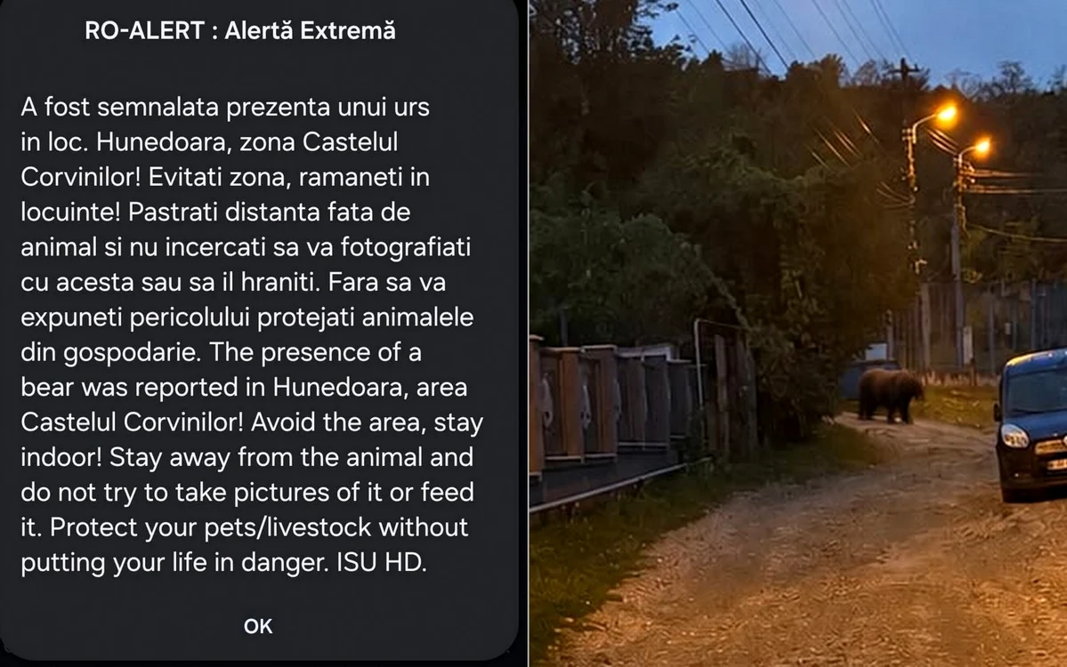 Primul mesaj Ro-Alert
