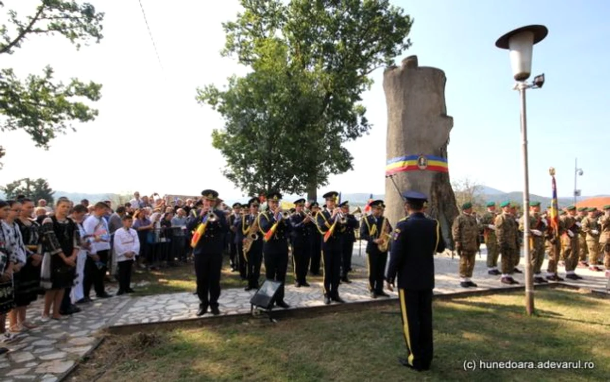 tara zarandului