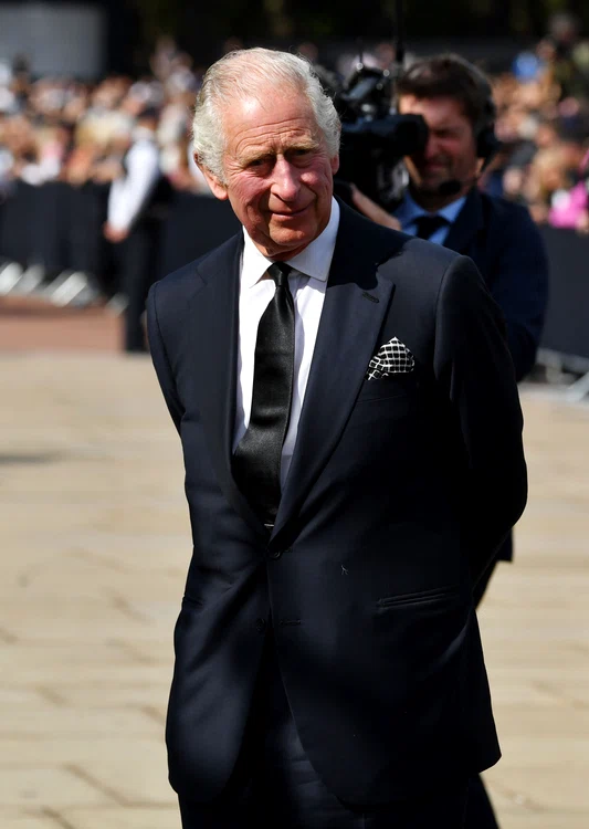 Regele Charles se intalneste cu sustinatorii  Foto Profimedia jpg