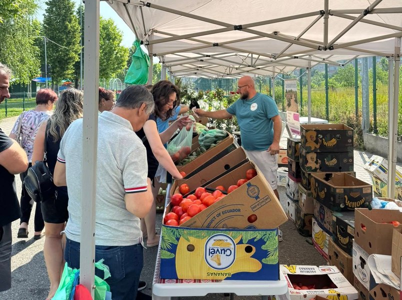 Legumicultorii evită cooperativele și la 35 ani de la destrămarea CAP-urilor. „Supermarketurile nu vin la fiecare poartă, aduc de afară”