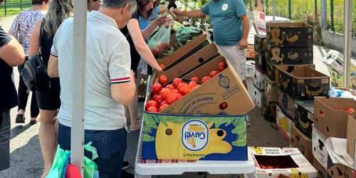 vanzare legume piata volanta slatina foto fb florin ciobanu jpg