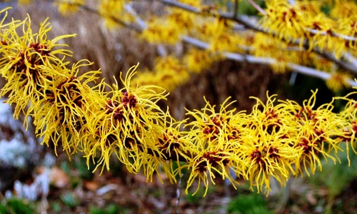 1 72188 original jpg jpeg