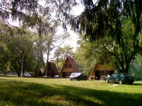 casoaia arad