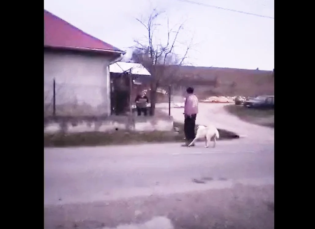 Scene șocante în Bihor: o femeie a bătut un câine până l-a omorât. FOTO: Captură Video 