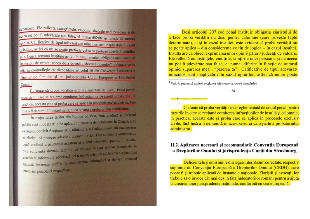 suspiciuni plagiat Emilia Sercan Foto turnulsfatului.ro