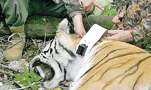 CLIIMA20121008 0071 1 jpeg