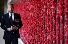 Prințul Harry foto profimedia 1091114760 jpg