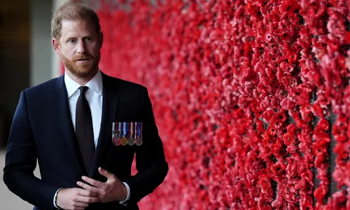 Prințul Harry  foto   profimedia 1091114760 jpg
