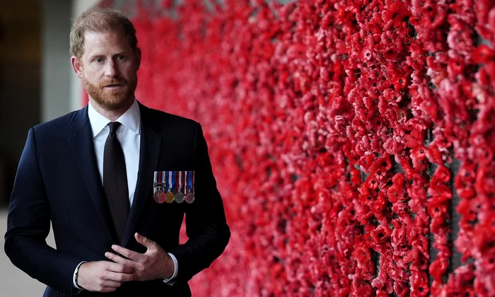 Prințul Harry  foto   profimedia 1091114760 jpg