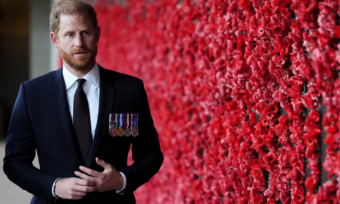 Prințul Harry  foto   profimedia 1091114760 jpg
