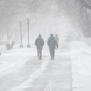 Viscol - zapada - iarna - meteo - vremea - frig - FOTO Shutterstock 