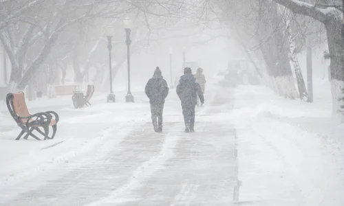 Viscol - zapada - iarna - meteo - vremea - frig - FOTO Shutterstock