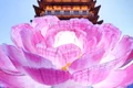 bujor record china jpg
