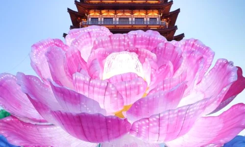 bujor record china jpg