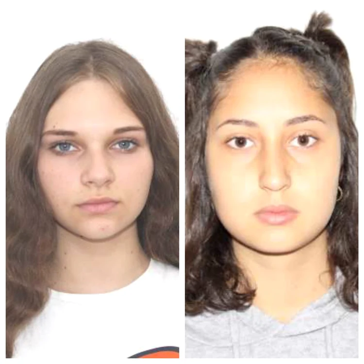 Cele două fete au plecat dumunică după-maiază fără bilet de voie FOTO: IPJ Dolj
