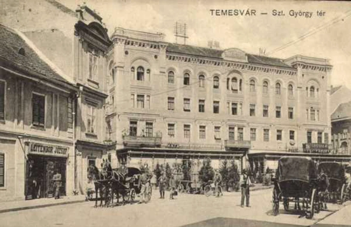 Palat Sf.Gheorghe FOTO Facebook/Cetaţean în Timişoara. Pretenţios