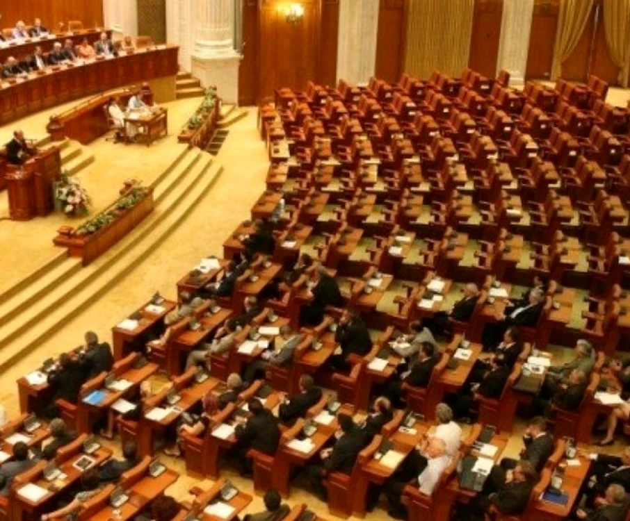 
    Anca Dragu este prima femeie președinte al Senatului din România  