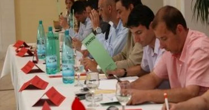 Constanta: Consilierii locali se întâlnesc să voteze pentru amenajarea a două parcuri